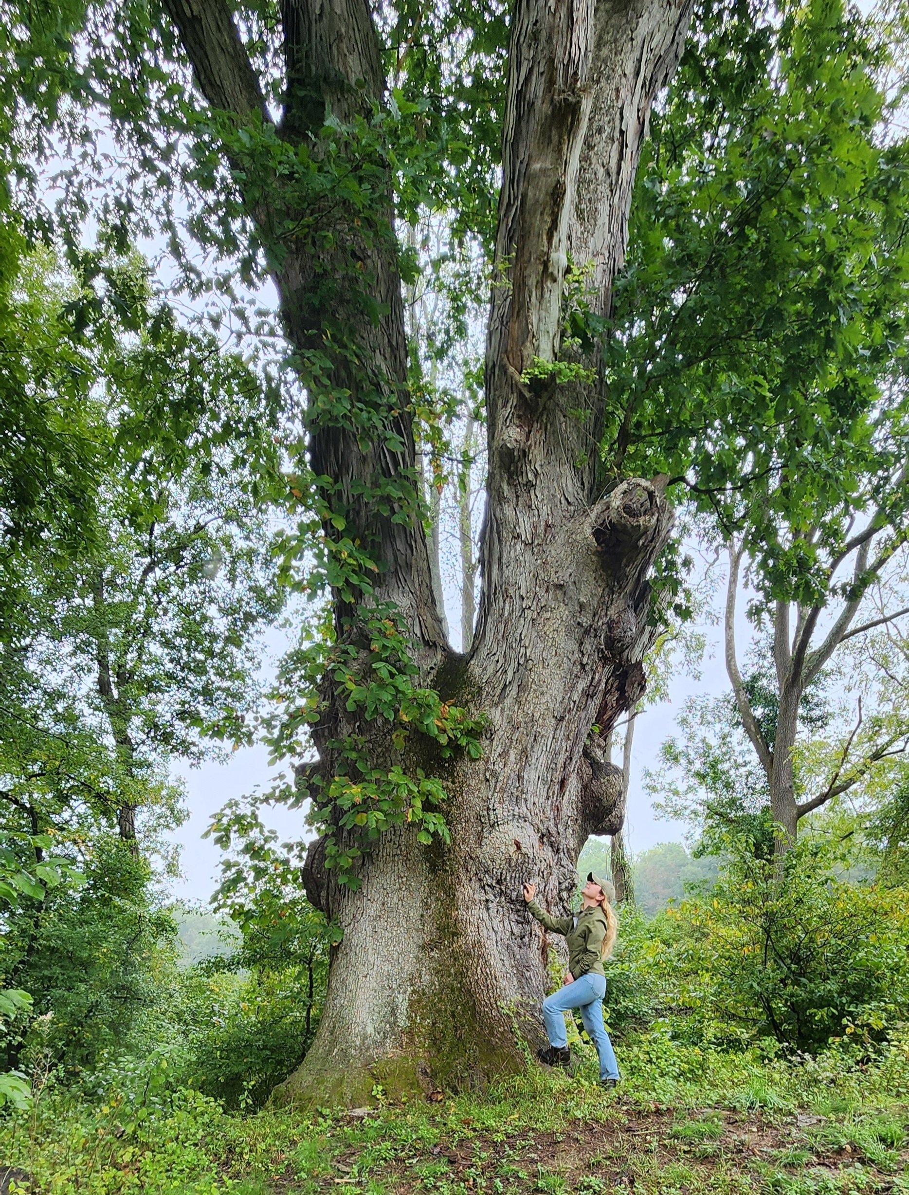 2023-09-29 12_00_40.798-0400.jpg