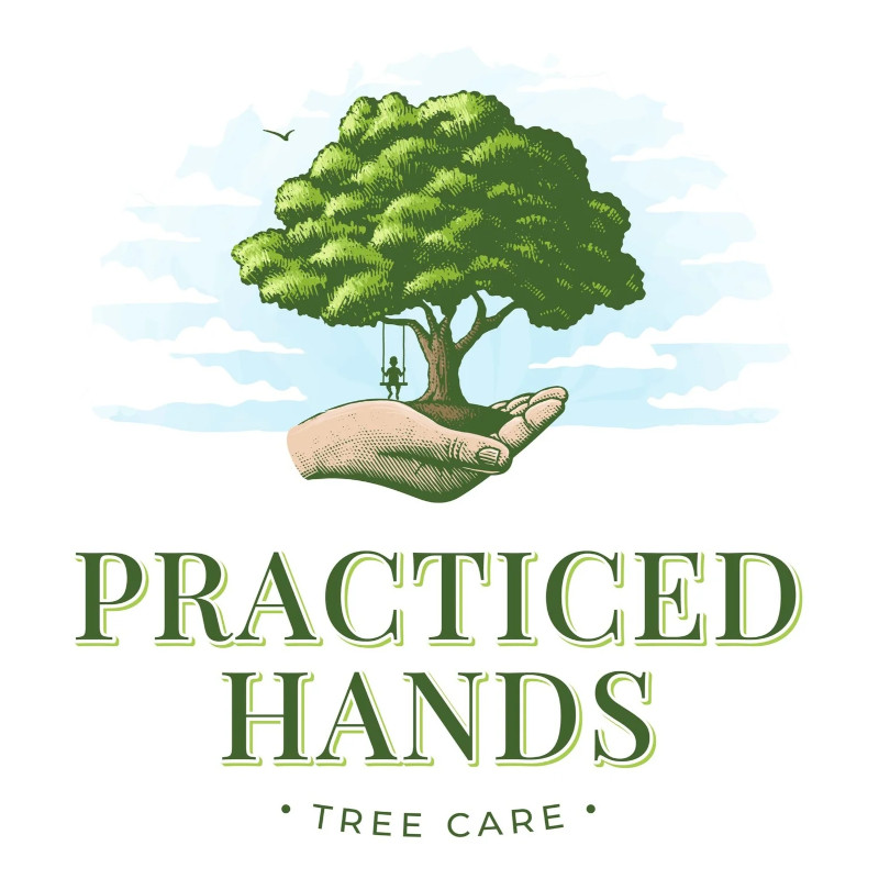 Practiced Hands Tree Care Logo