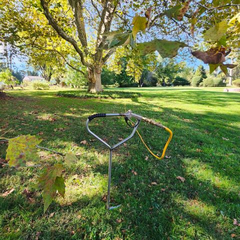 Image depicting the Service Nutrient & Fertilizer Treatment