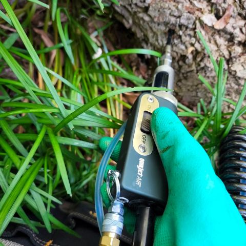 Image depicting the Service Emerald Ash Borer Injection