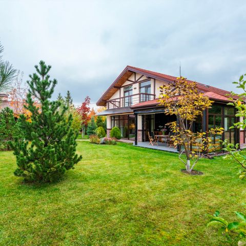 Image depicting the Service Tree Inventories